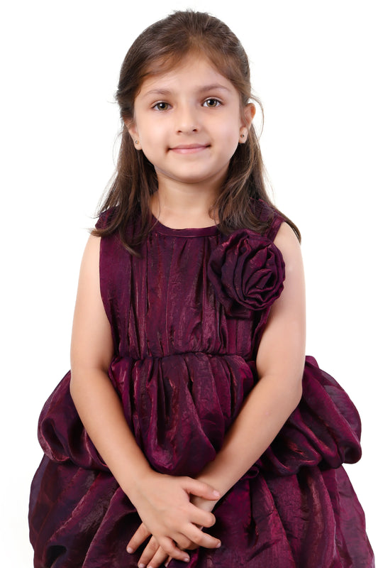 Velvet Berry Wine Balloon Party Dress for Girls