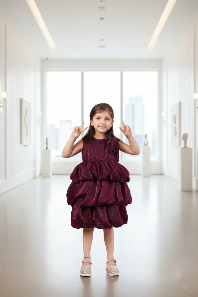 Velvet Berry Wine Balloon Party Dress for Girls