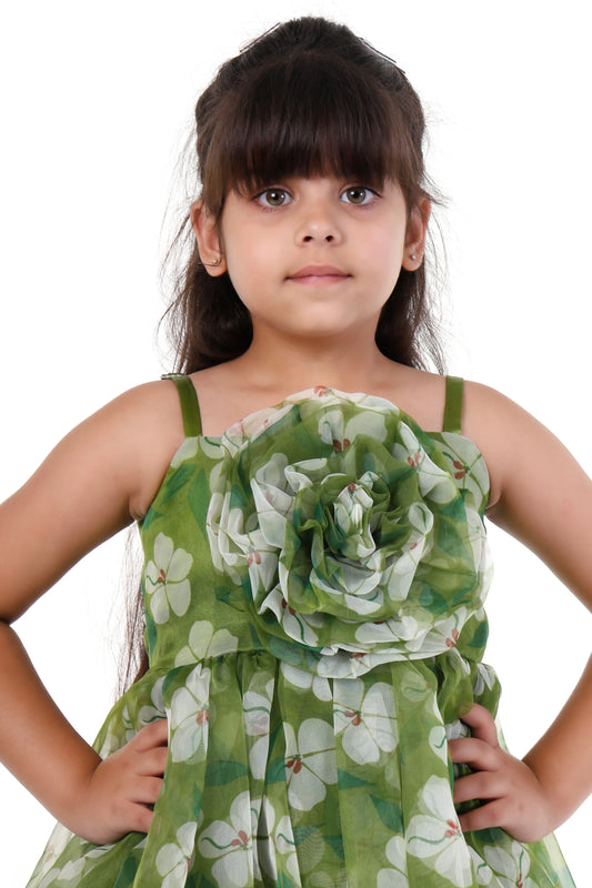 Emerald Blossom Green Tulle Party Dress for Girls