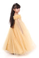 Golden Glamour Spaghetti Gown Party Dress for Girls