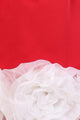 Scarlet Bloom Red Floral Party Dress for Girls
