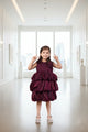 Velvet Berry Wine Balloon Party Dress for Girls