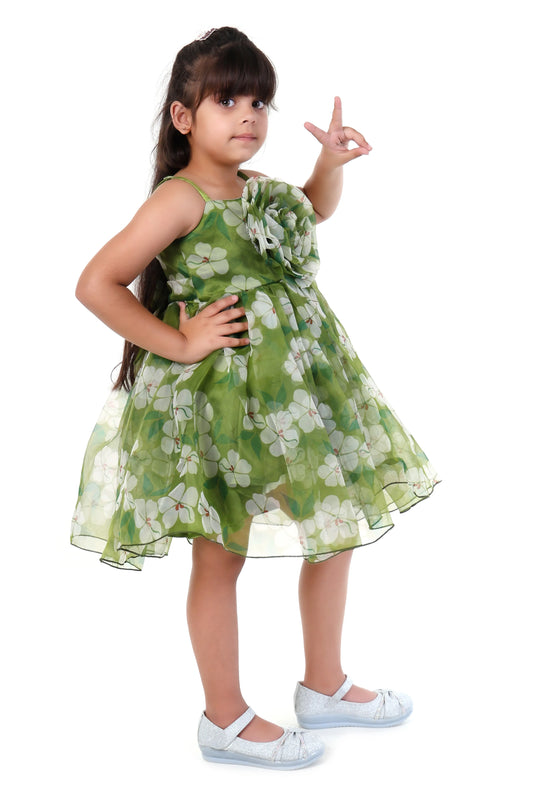 Emerald Blossom Green Tulle Party Dress for Girls