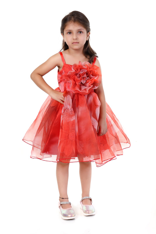 Radiant Red Elegance