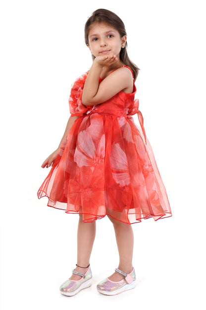 Radiant Red Elegance