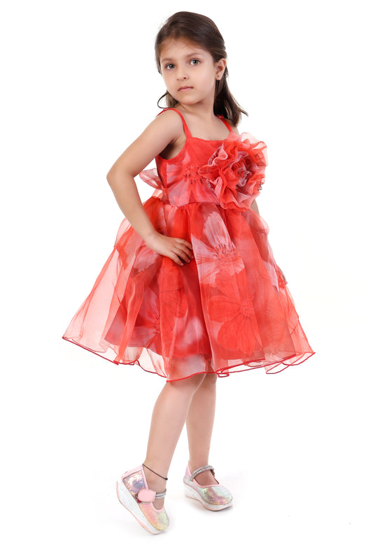 Radiant Red Elegance