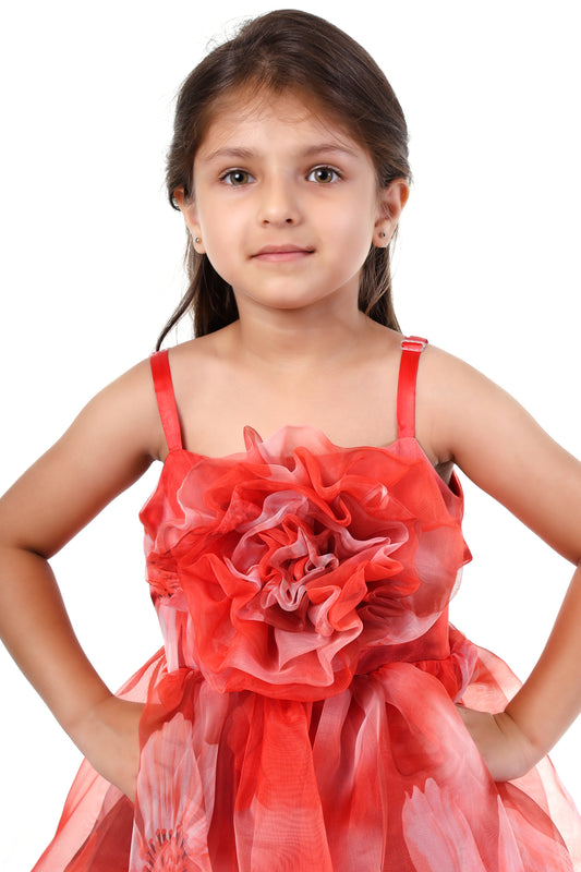 Radiant Red Elegance